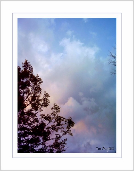 Serenity Sky