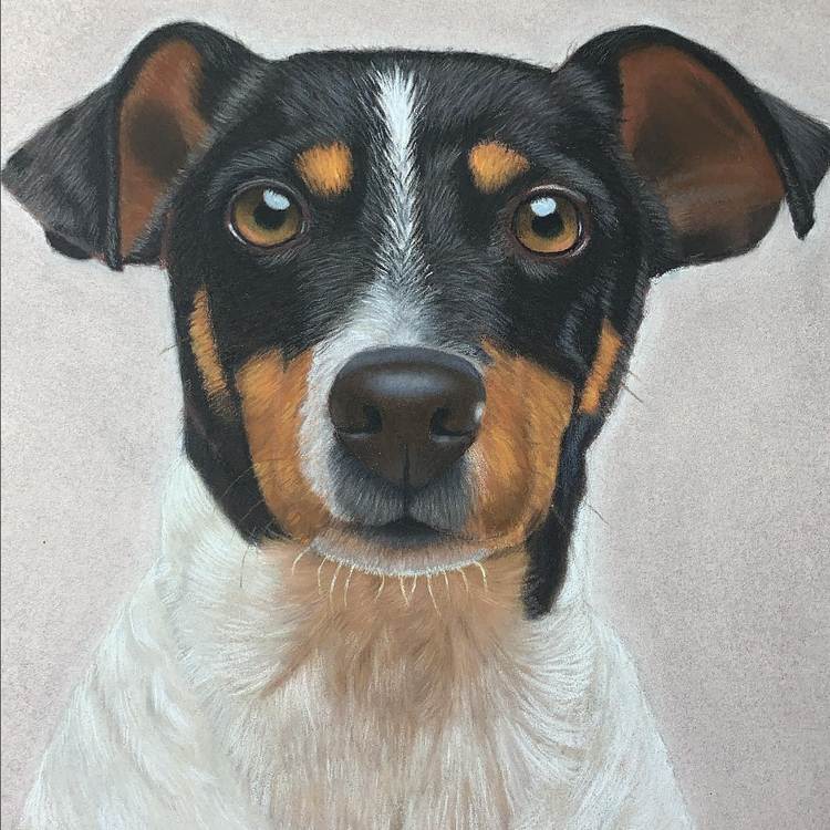 Pastel dog drawing
