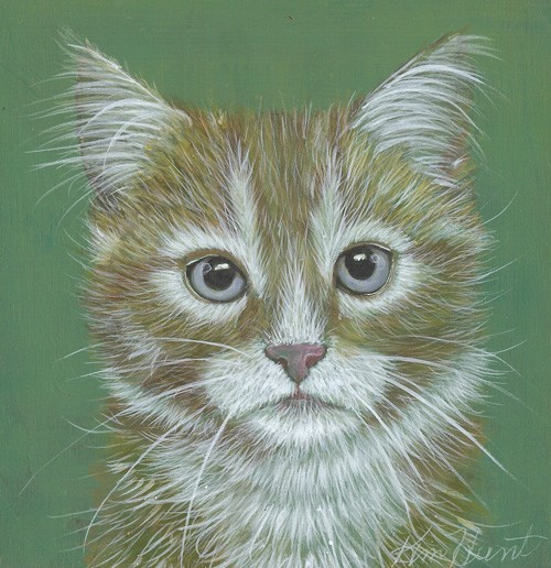 Tabby Cat