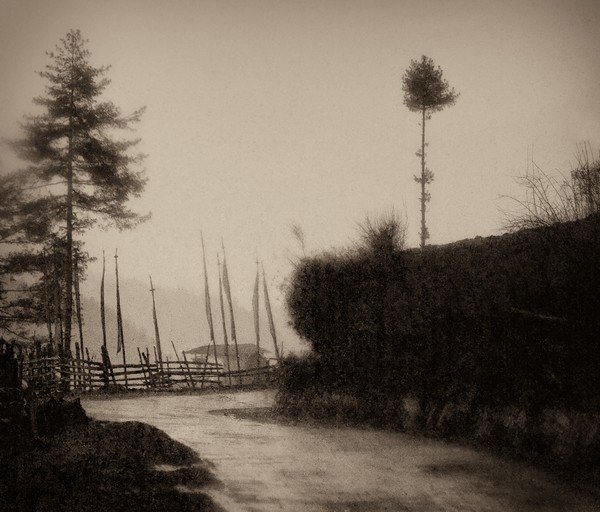 Bhutan Sepia No. 6