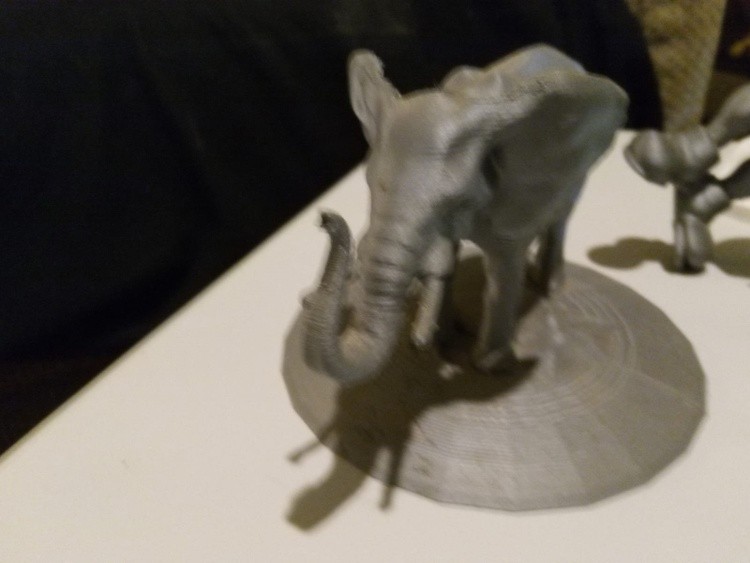 ElephantALum1