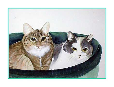 Barbaras Kitties