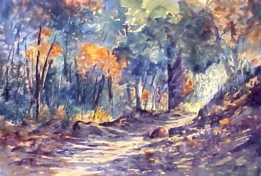 Canyon pathway