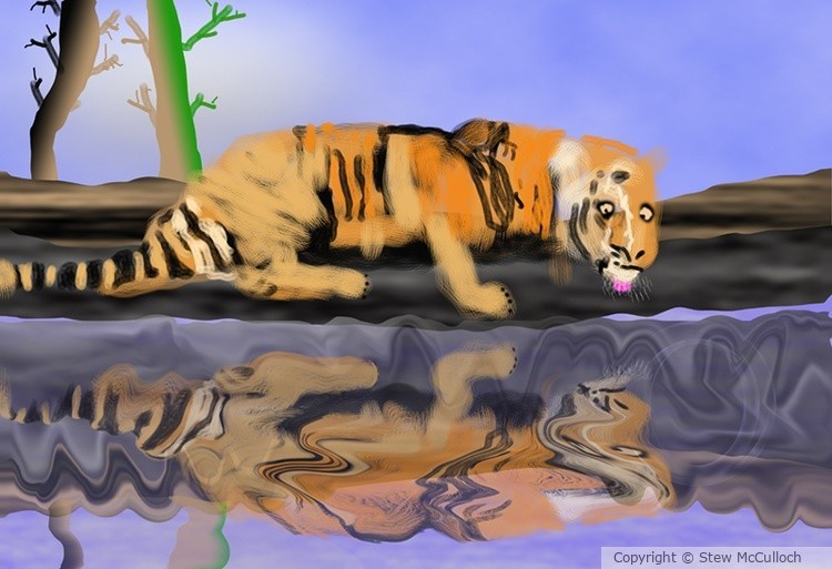 Thirsty Tiger takin' a Drink  P340