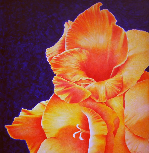 Orange Canna Lilies