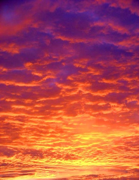 Last night out my window