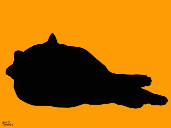 Cat 5