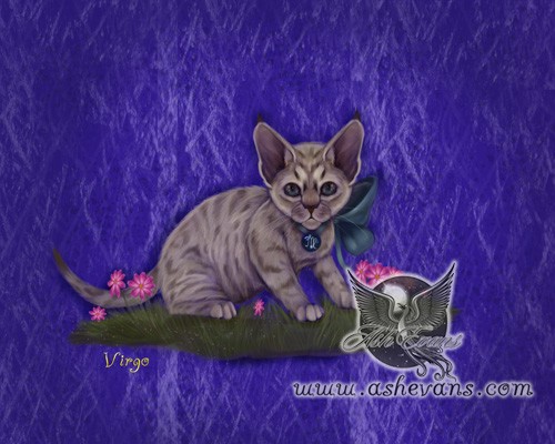 Virgo the Zodicat