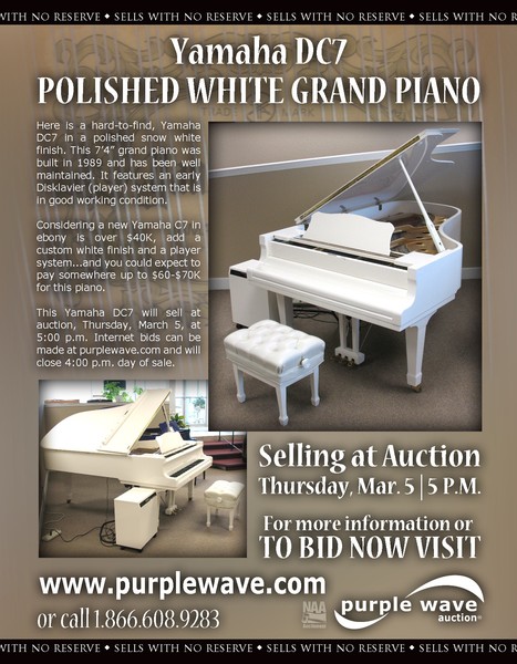 Purple Wave Piano Flier