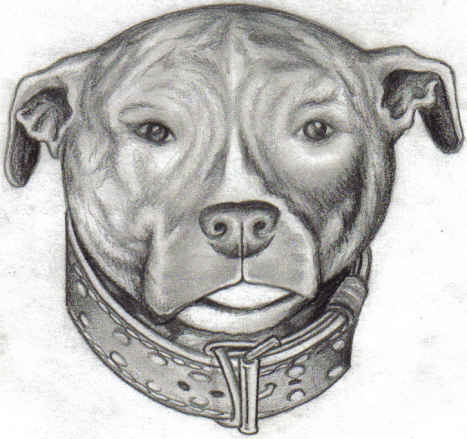pitt