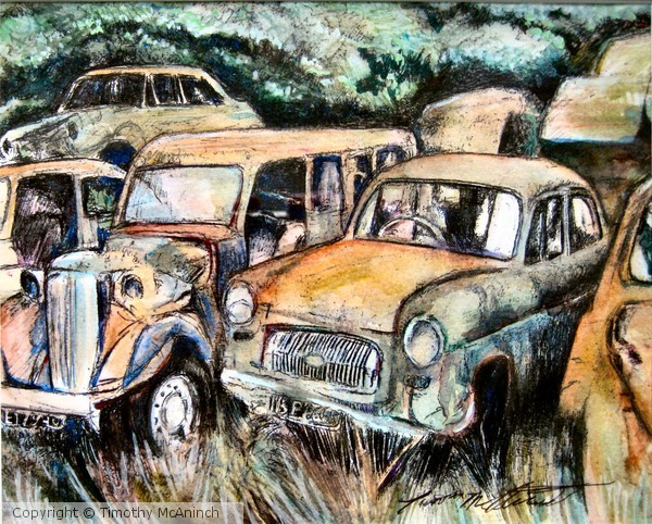 Horopito Motors 2