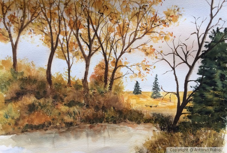 End summer landscape
