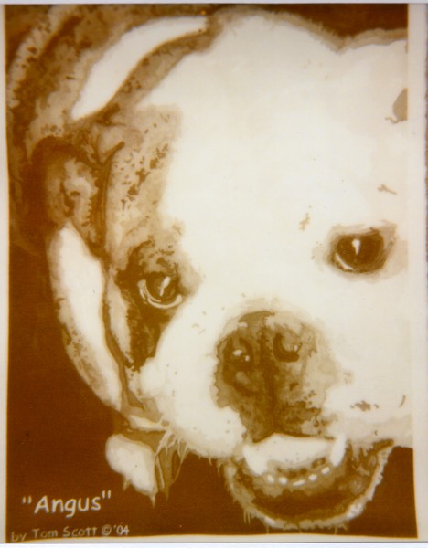 Angus