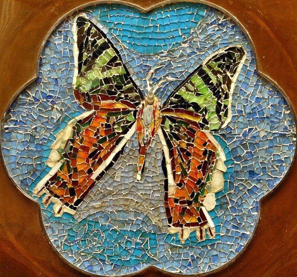 Butterfly in the blue