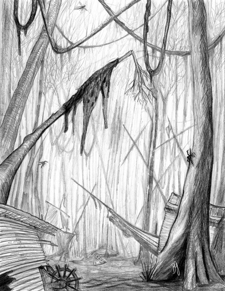 Swamp