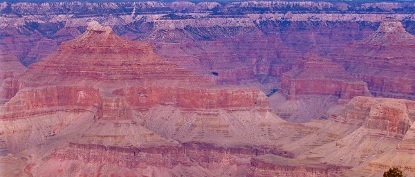 Grand Canyon 5