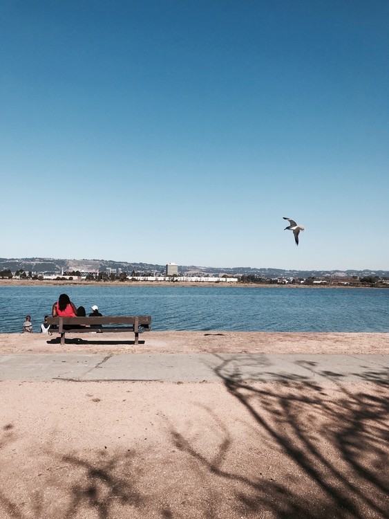 Shoreline Park