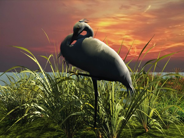 Sundowner