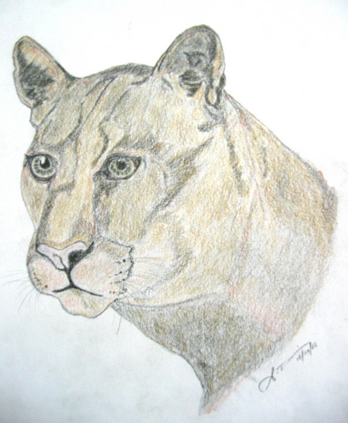 A lioness courage