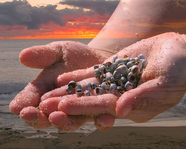 Hands of Tide