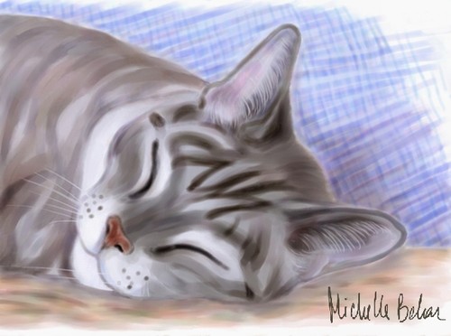 Sleeping Kitty