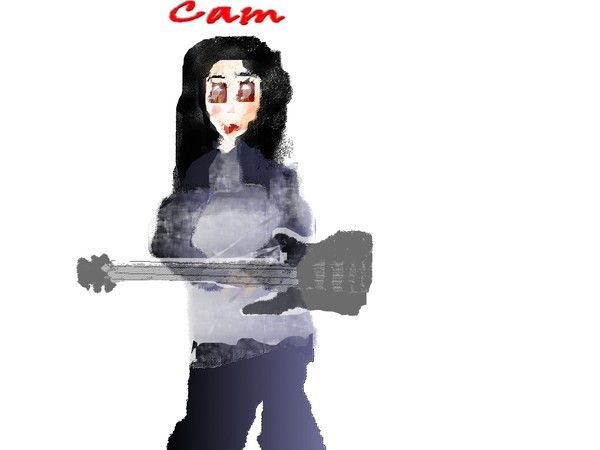 Cam