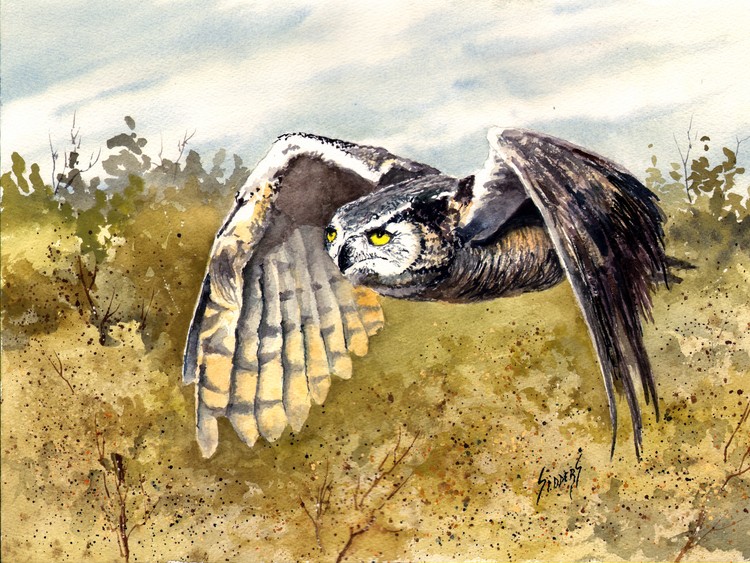 Great Horned Owl