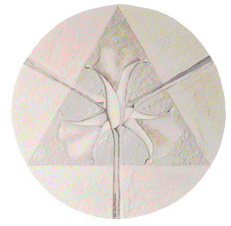 3-flowers