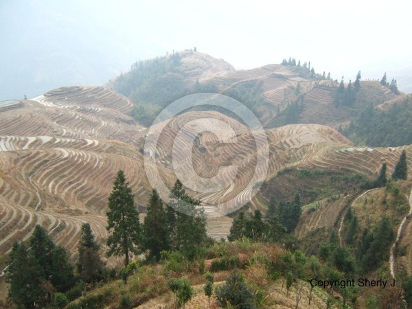 Rice Terrace Fields of Guilin