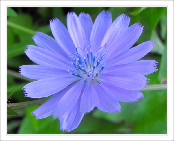 Feeling Blue