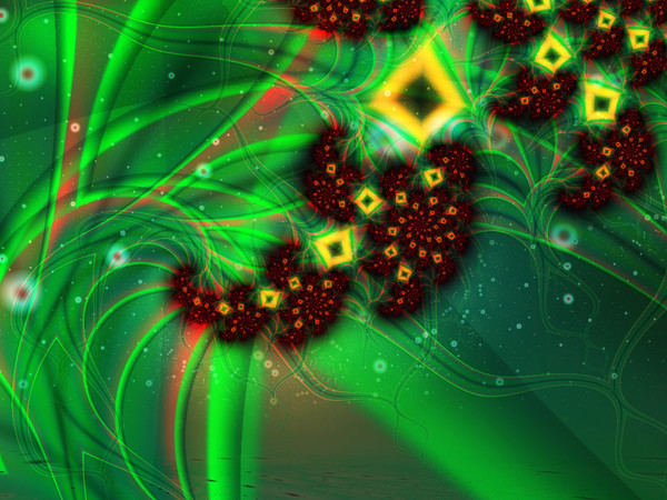 Night flowers