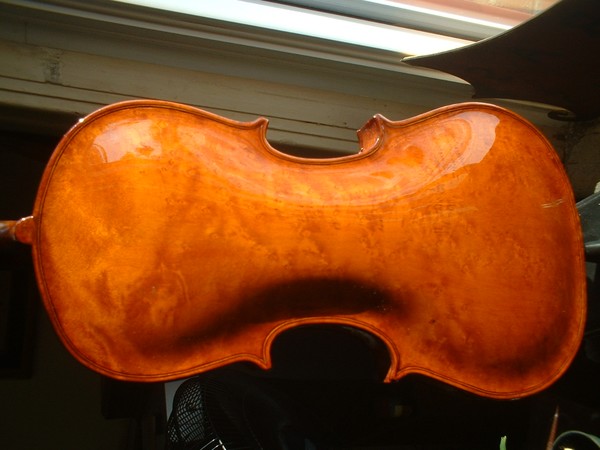 Violin back plate Stainer