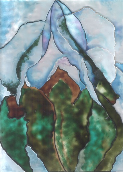 Iris