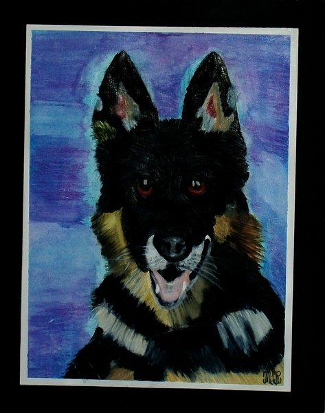 Shep