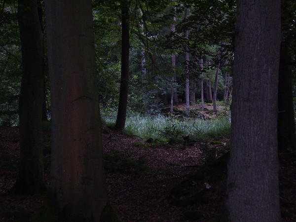 Nature5