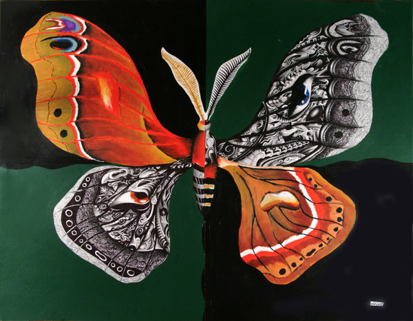 The Cecropia Moth