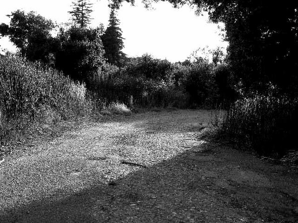 The Road Less Travelled