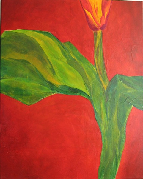 Tulip