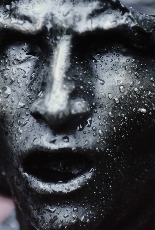 Rodin in rain