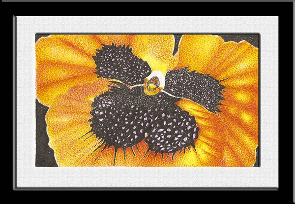 flor amarela detalhe