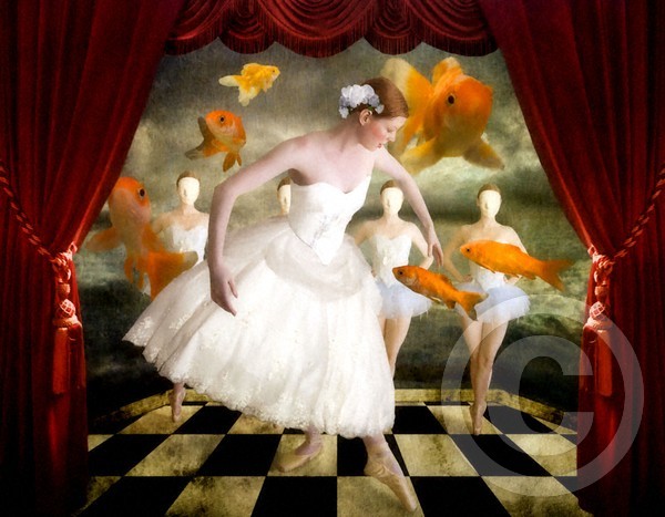 The Goldfish Suite