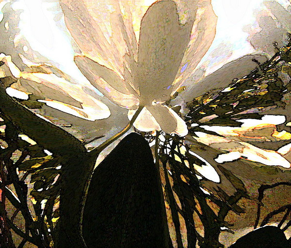 Floral Globe