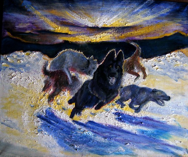 Dog Fight