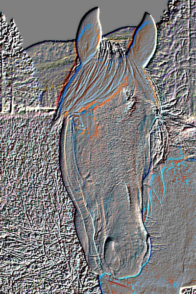 EMBOSSED LITTLEMAN