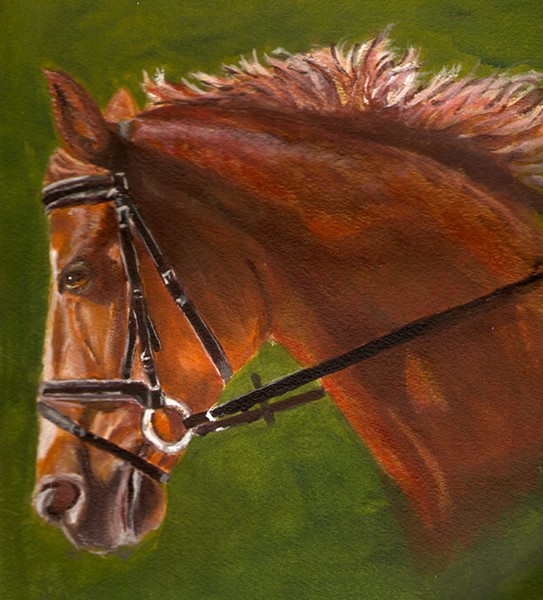 Dressage