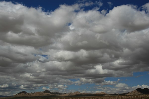 Scenic Views #6