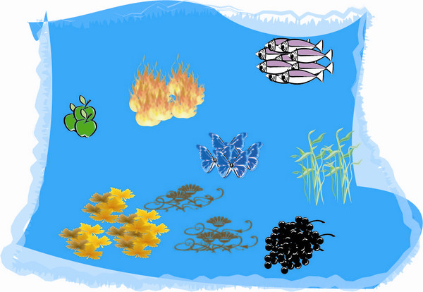 ButterflyFish