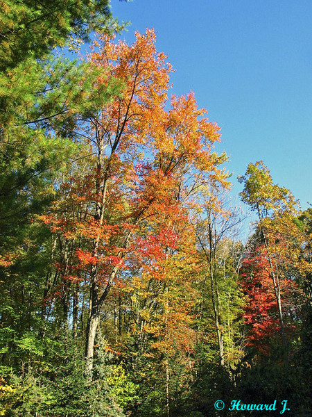 Colours Of The Season