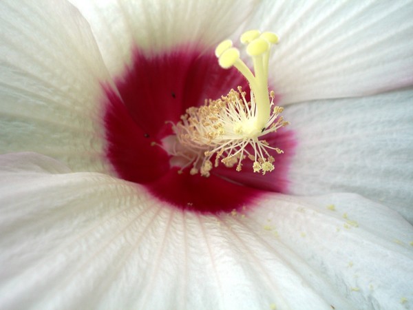 Tower of Pollen