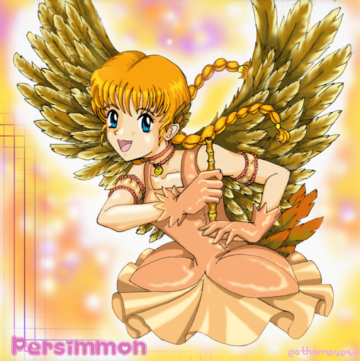 Persimmon XD